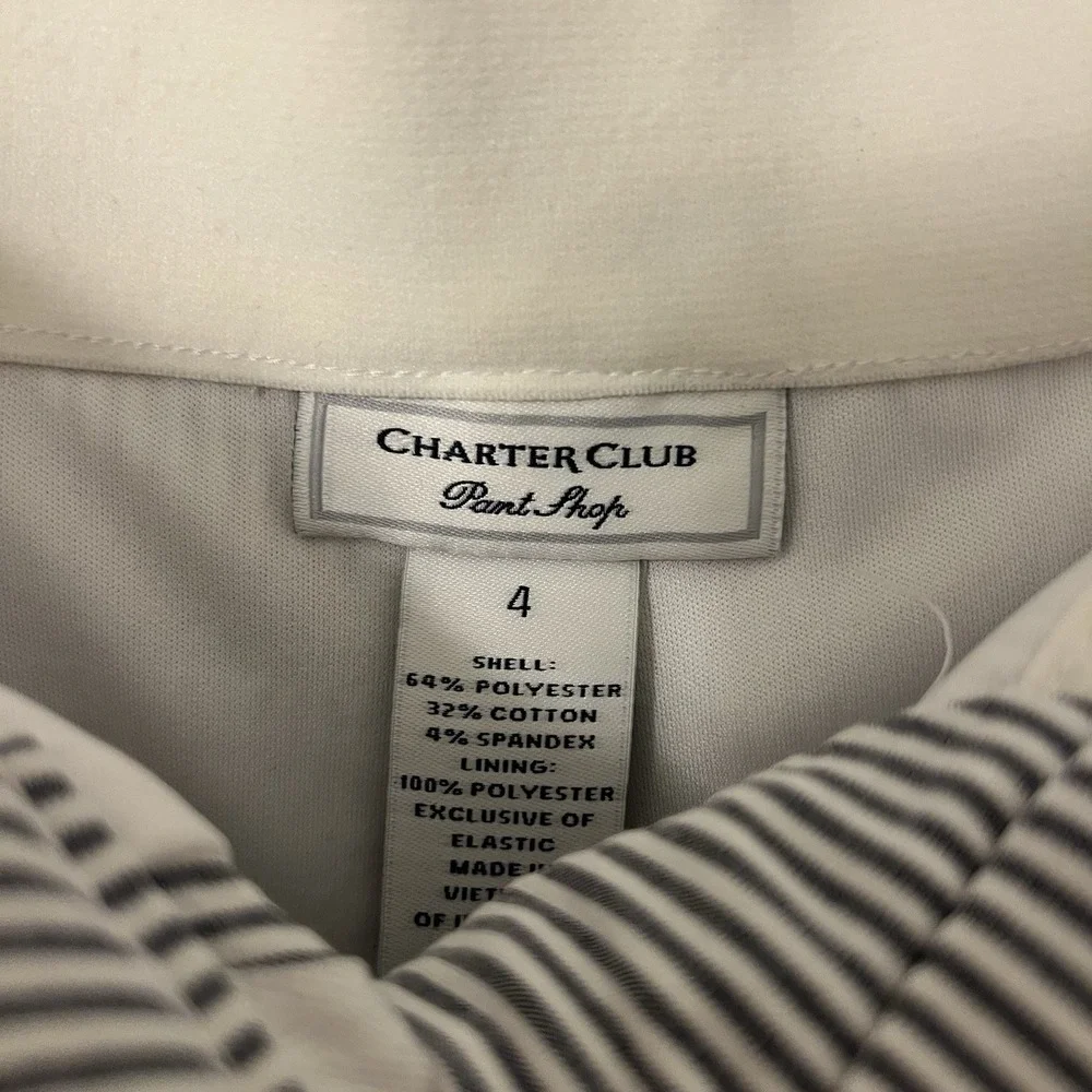 Charter Club Lined Skirt Blue Striped Skirt W Pockets Old Money Country Club EUC
